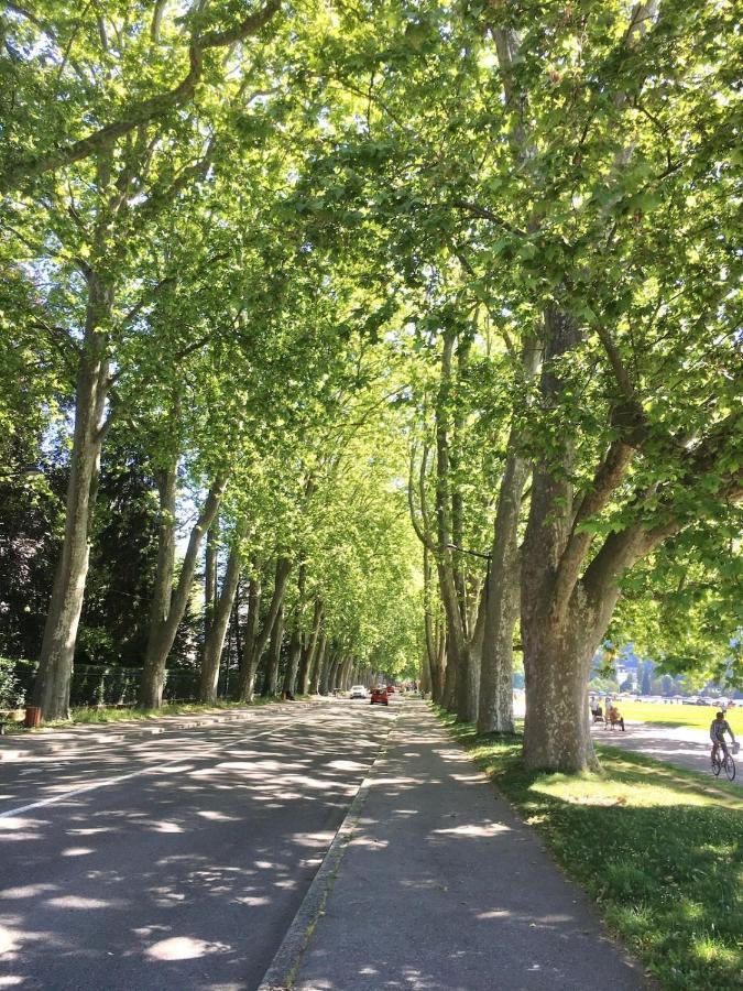 Annecy Center 2 Steps From The Lake Cozy And Renovated! Zewnętrze zdjęcie